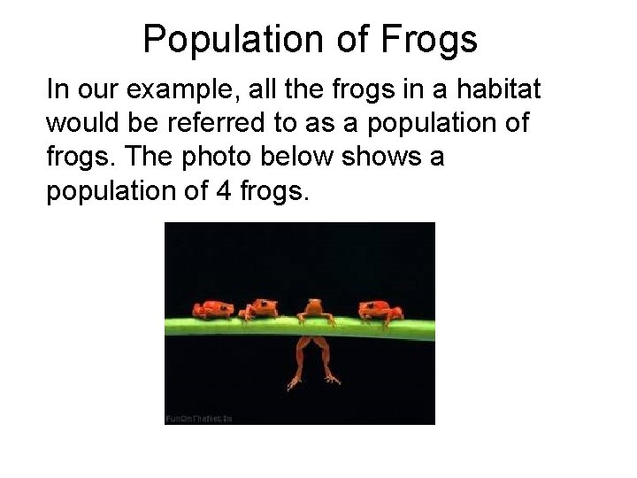 Population of Frogs In our example, all the frogs in a habitat would be