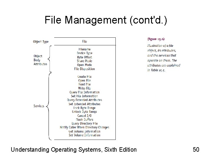 File Management (cont'd. ) Understanding Operating Systems, Sixth Edition 50 