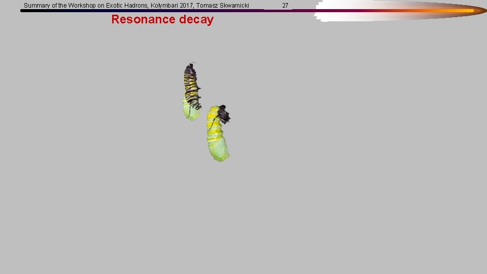 Summary of the Workshop on Exotic Hadrons, Kolymbari 2017, Tomasz Skwarnicki Resonance decay 27