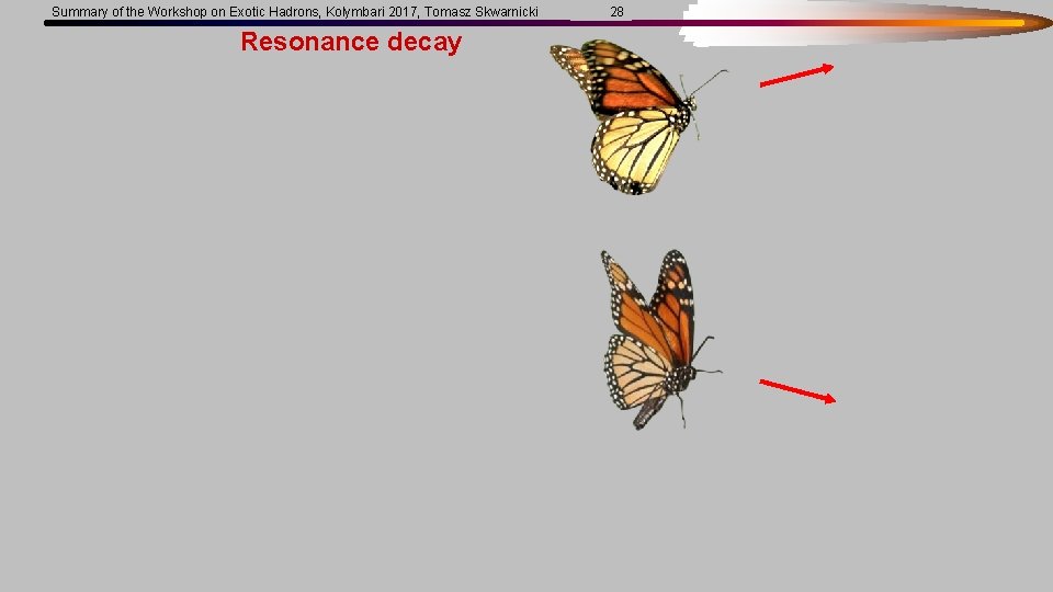 Summary of the Workshop on Exotic Hadrons, Kolymbari 2017, Tomasz Skwarnicki Resonance decay 28