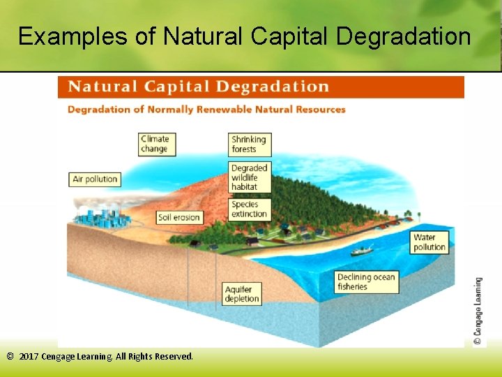 Examples of Natural Capital Degradation © 2017 Cengage Learning. All Rights Reserved. 