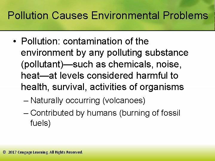 Pollution Causes Environmental Problems • Pollution: contamination of the environment by any polluting substance