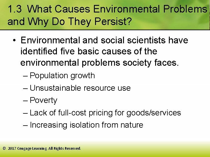 1. 3 What Causes Environmental Problems and Why Do They Persist? • Environmental and social