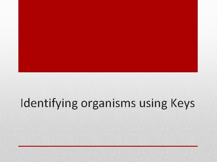 Identifying organisms using Keys 