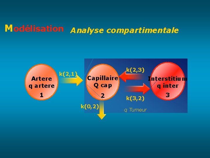 Modélisation Analyse compartimentale Artere q artere k(2, 1) k(2, 3) Capillaire Q cap 1