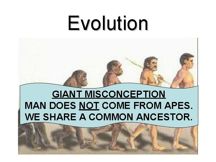 Evolution GIANT MISCONCEPTION MAN DOES NOT COME FROM APES. WE SHARE A COMMON ANCESTOR.
