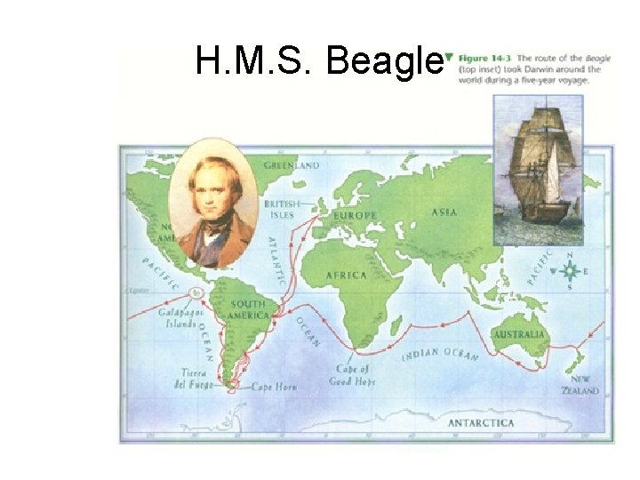 H. M. S. Beagle 