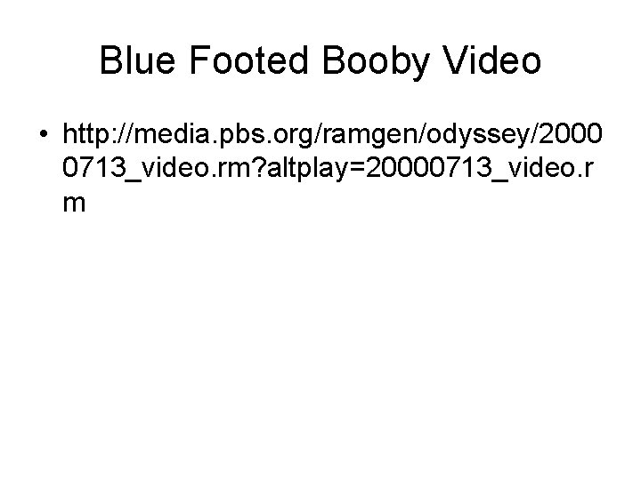 Blue Footed Booby Video • http: //media. pbs. org/ramgen/odyssey/2000 0713_video. rm? altplay=20000713_video. r m