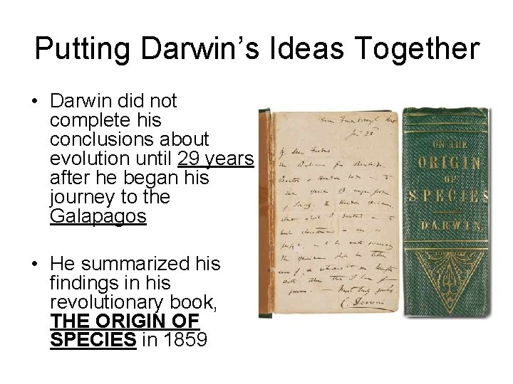 Putting Darwin’s Ideas Together • Darwin did not complete his conclusions about evolution until