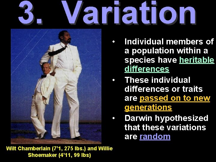 3. Variation • • • Wilt Chamberlain (7’ 1, 275 lbs. ) and Willie