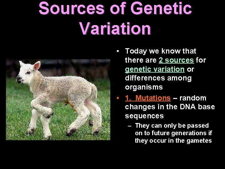 Sources of Genetic Variation • Today we know that there are 2 sources for