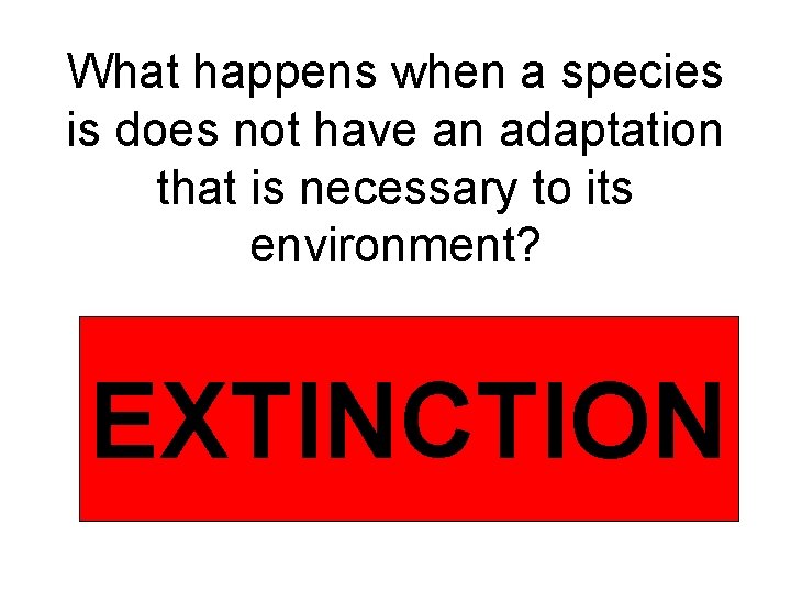 What happens when a species is does not have an adaptation that is necessary