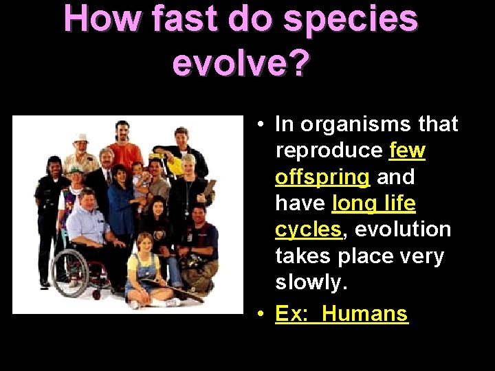 How fast do species evolve? • In organisms that reproduce few offspring and have