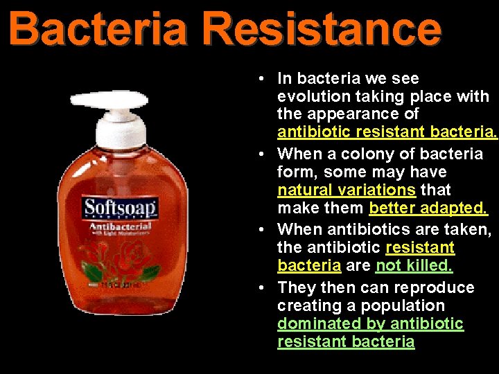 Bacteria Resistance • In bacteria we see evolution taking place with the appearance of