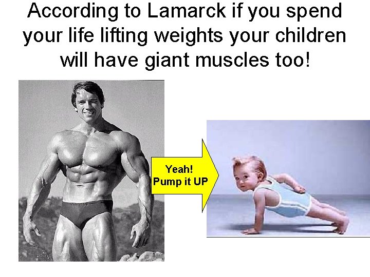 According to Lamarck if you spend your life lifting weights your children will have