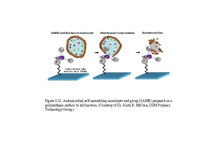 Figure 8. 21. Antimicrobial self-assembling monolayer end group (SAME) prepared on a polyurethane surface