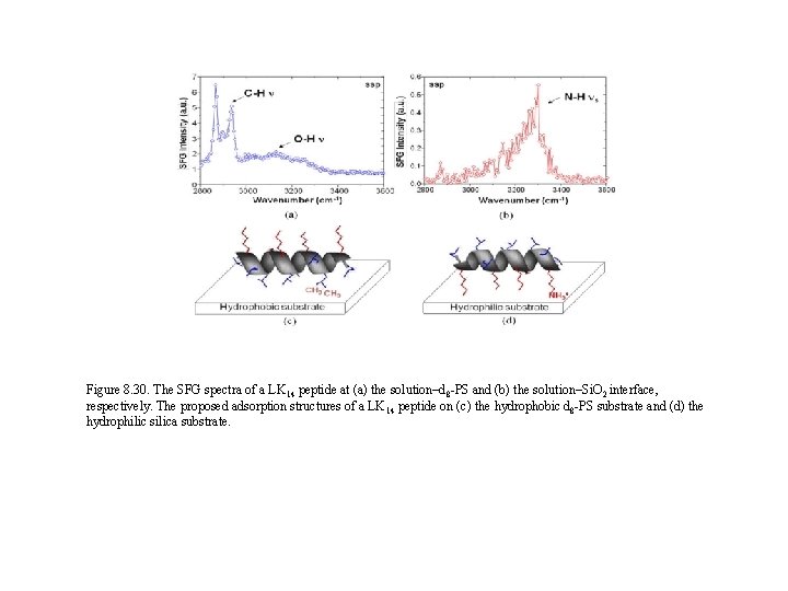 Figure 8. 30. The SFG spectra of a LK 14 peptide at (a) the