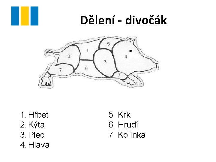 Dělení - divočák 1. Hřbet 2. Kýta 3. Plec 4. Hlava 5. Krk 6.