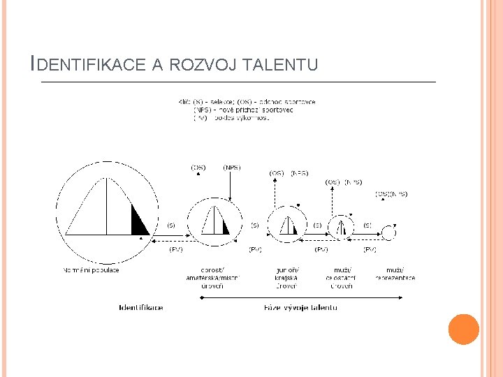 IDENTIFIKACE A ROZVOJ TALENTU 