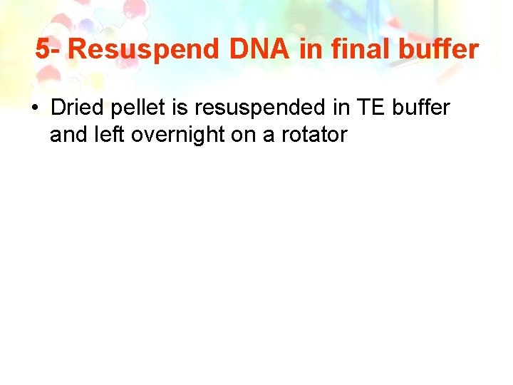 5 - Resuspend DNA in final buffer • Dried pellet is resuspended in TE