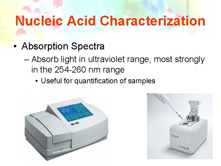 Nucleic Acid Characterization • Absorption Spectra – Absorb light in ultraviolet range, most strongly