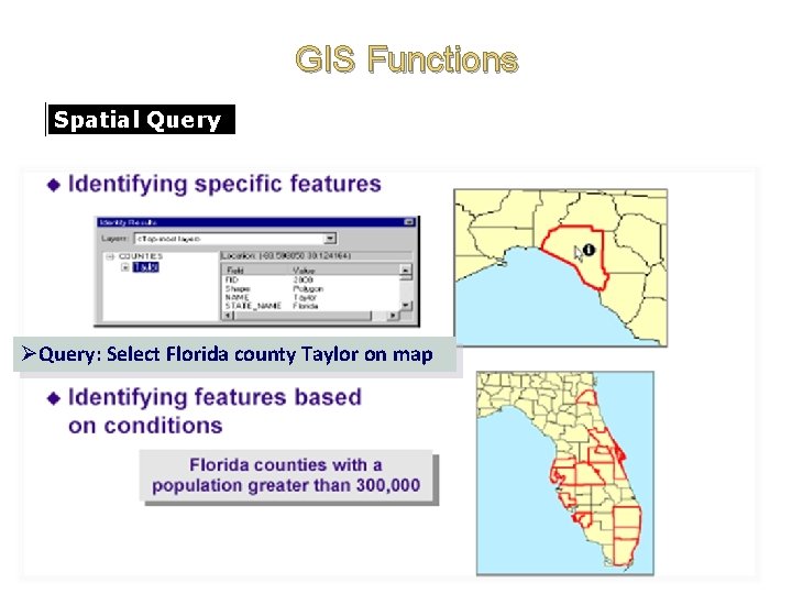 GIS Functions Spatial Query ØQuery: Select Florida county Taylor on map 
