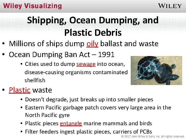 Shipping, Ocean Dumping, and Plastic Debris • Millions of ships dump oily ballast and