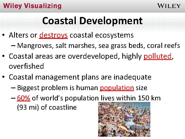 Coastal Development • Alters or destroys coastal ecosystems – Mangroves, salt marshes, sea grass
