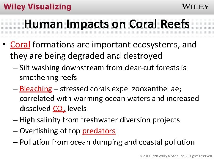 Human Impacts on Coral Reefs • Coral formations are important ecosystems, and they are