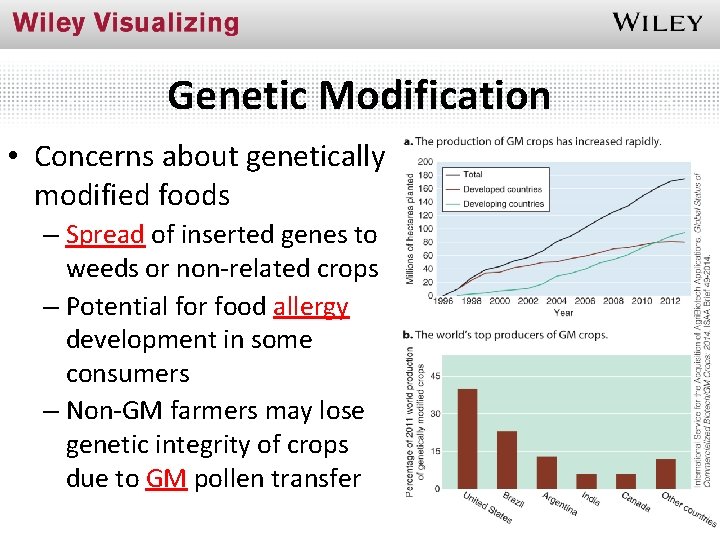 Genetic Modification • Concerns about genetically modified foods – Spread of inserted genes to