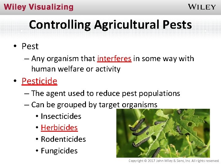 Controlling Agricultural Pests • Pest – Any organism that interferes in some way with