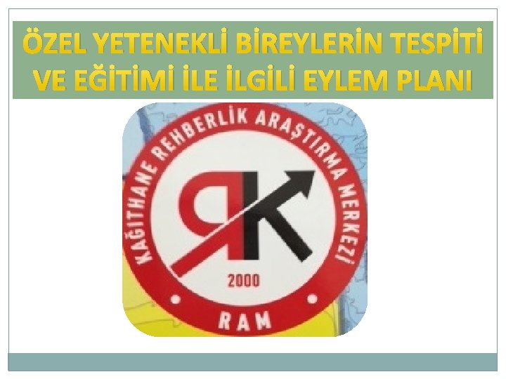 ÖZEL YETENEKLİ BİREYLERİN TESPİTİ VE EĞİTİMİ İLE İLGİLİ EYLEM PLANI 