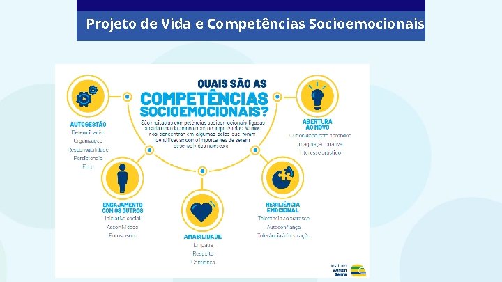 Projeto de Vida e Competências Socioemocionais 