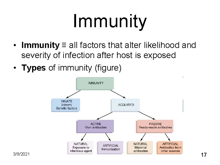Immunity • Immunity ≡ all factors that alter likelihood and severity of infection after Immunity • Immunity ≡ all factors that alter likelihood and severity of infection after