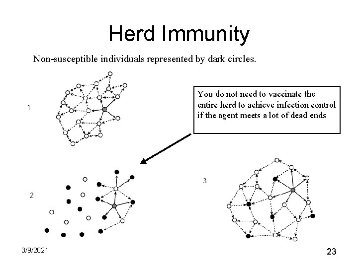 Herd Immunity Non-susceptible individuals represented by dark circles. You do not need to vaccinate Herd Immunity Non-susceptible individuals represented by dark circles. You do not need to vaccinate