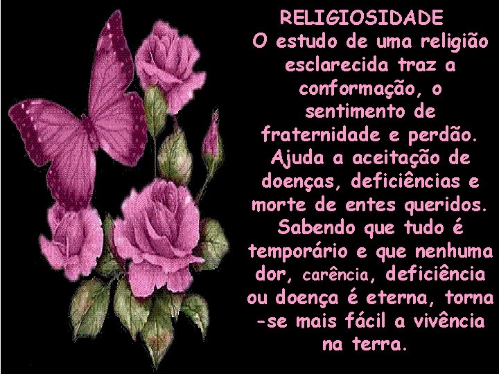 RELIGIOSIDADE O estudo de uma religião esclarecida traz a conformação, o sentimento de fraternidade