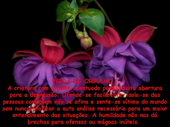 PERDA DO ORGULHO A criatura com orgulho acentuado possui muita abertura para a depressão.