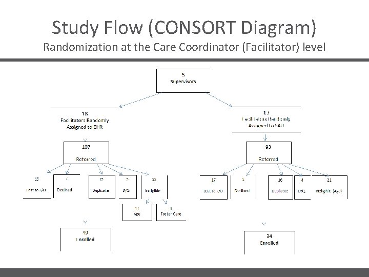 Study Flow (CONSORT Diagram) Randomization at the Care Coordinator (Facilitator) level 
