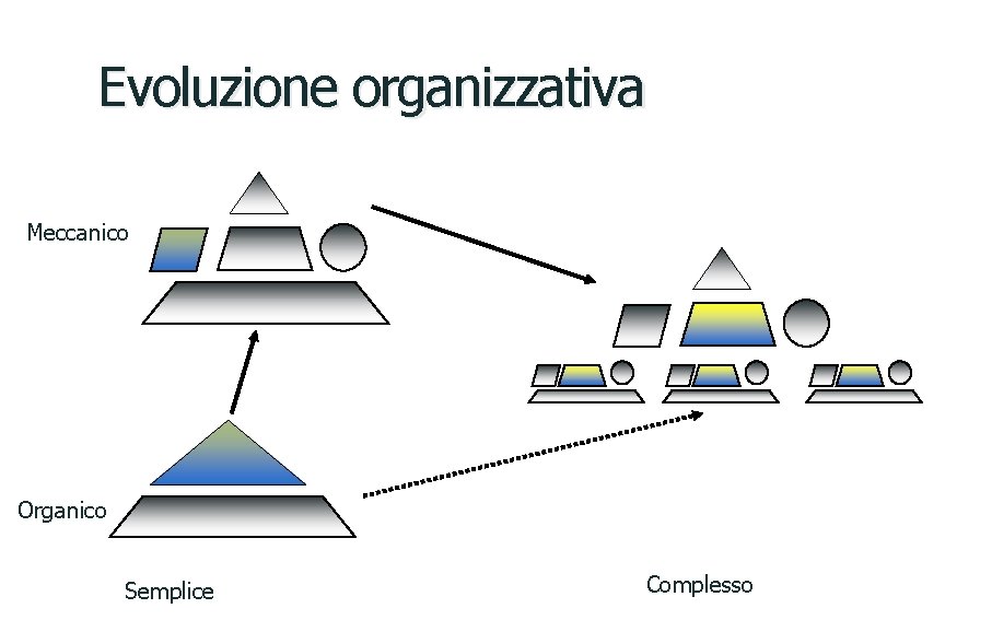 Evoluzione organizzativa Meccanico Organico Semplice Complesso 