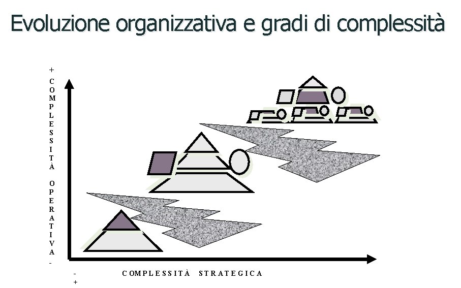 Evoluzione organizzativa e gradi di complessità + C O M P L E S