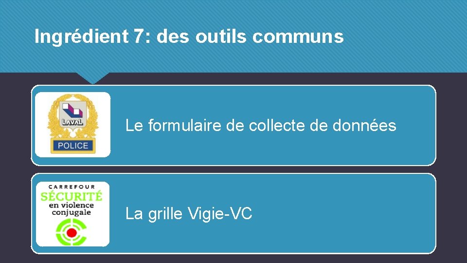 Ingrédient 7: des outils communs Le formulaire de collecte de données La grille Vigie-VC