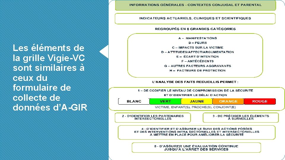 Les éléments de la grille Vigie-VC sont similaires à ceux du formulaire de collecte