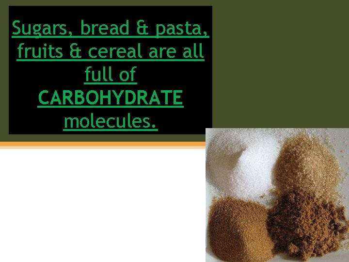 Sugars, bread & pasta, fruits & cereal are all full of CARBOHYDRATE molecules. 