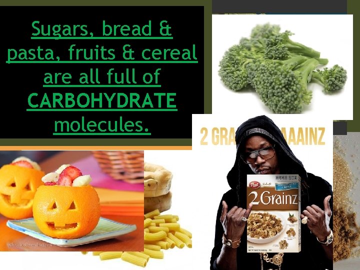 Sugars, bread & pasta, fruits & cereal are all full of CARBOHYDRATE molecules. 