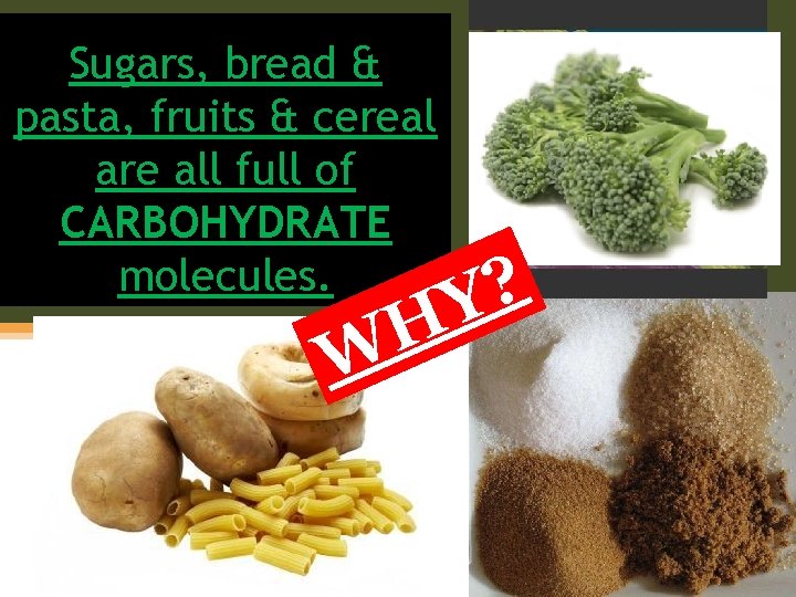 Sugars, bread & pasta, fruits & cereal are all full of CARBOHYDRATE molecules. ?