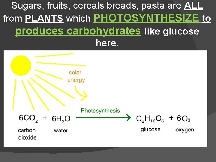 Sugars, fruits, cereals breads, pasta are ALL from PLANTS which PHOTOSYNTHESIZE to produces carbohydrates