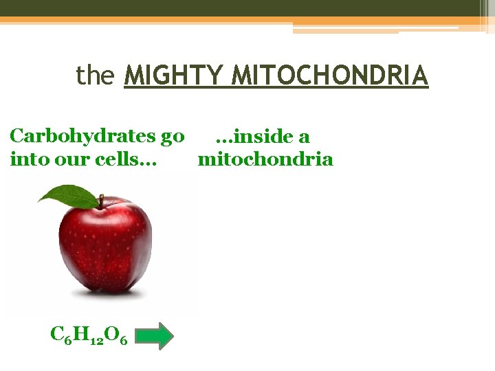 the MIGHTY MITOCHONDRIA Carbohydrates go …inside a into our cells… mitochondria C 6 H