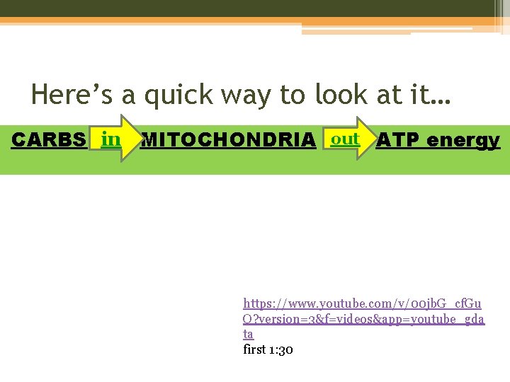 Here’s a quick way to look at it… CARBS in MITOCHONDRIA out ATP energy