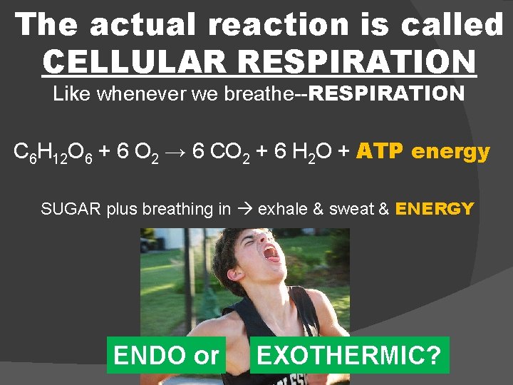 The actual reaction is called CELLULAR RESPIRATION Like whenever we breathe--RESPIRATION C 6 H