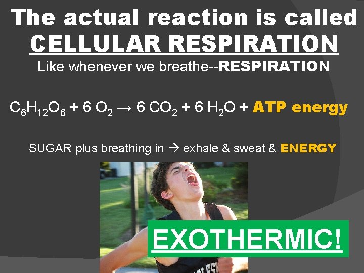 The actual reaction is called CELLULAR RESPIRATION Like whenever we breathe--RESPIRATION C 6 H